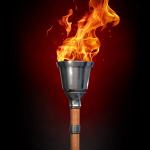 Torch - Telescoping Pick Up tools - Tolsen