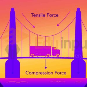 Compression-Compression Union elbow ss 1/2-1/2