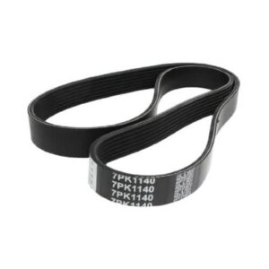 Belt - Fun belt